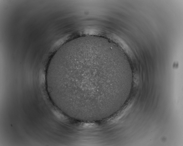 X0000102770401200808251057