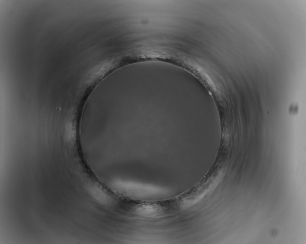 X0000102770402200808251057