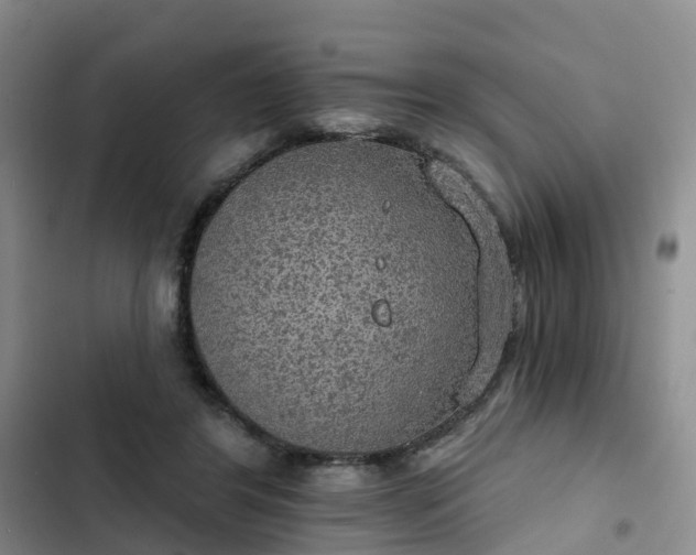 X0000102770404200808251057