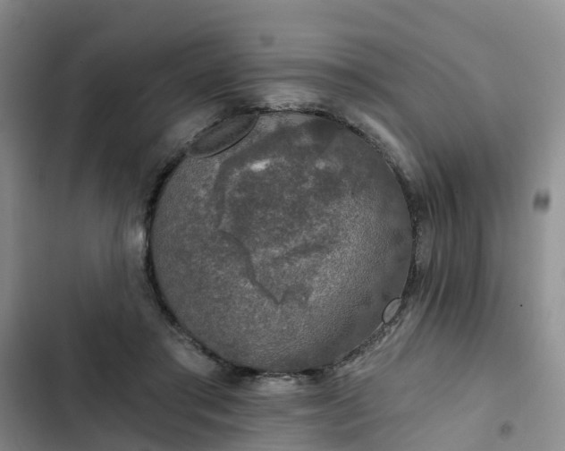 X0000102770405200808251057