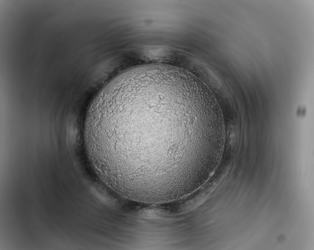 X0000102770408200808251057