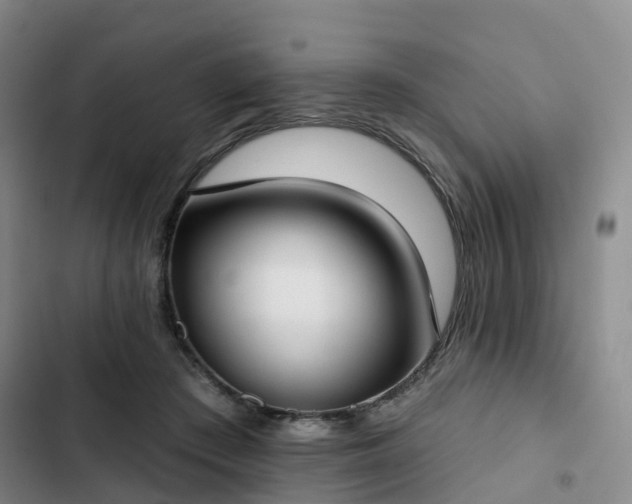 X0000102770409200808251057