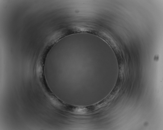 X0000102770410200808251057