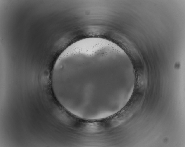 X0000102770411200808251057