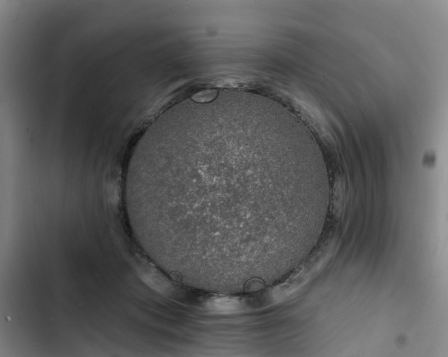 X0000102770413200808251057