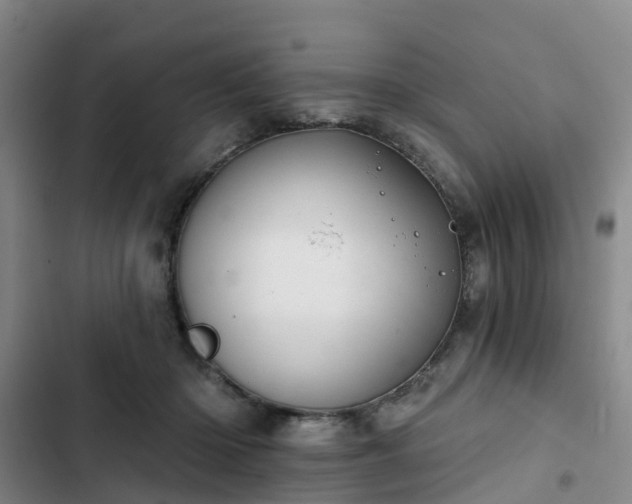 X0000102770414200808251057