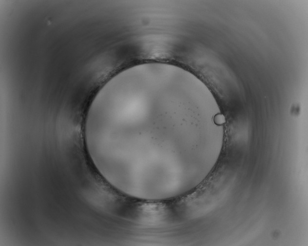 X0000102770415200808251057