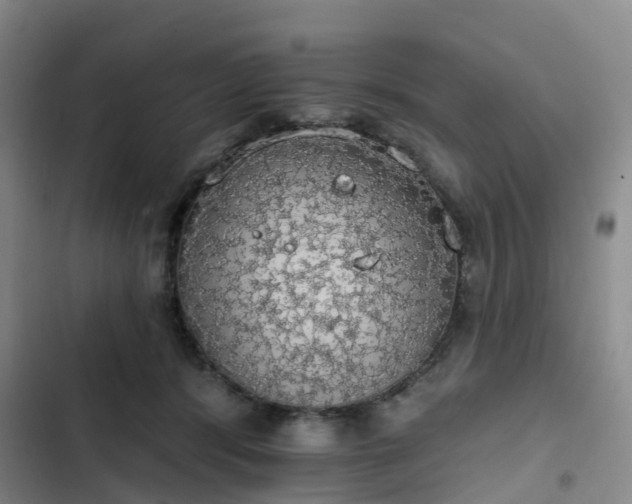 X0000102770416200808251057