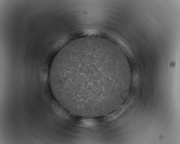 X0000102770417200808251057