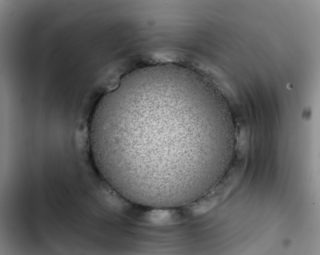 X0000102770418200808251057