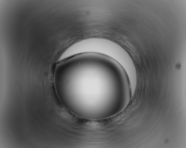 X0000102770419200808251057