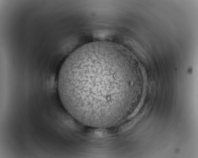 X0000102770420200808251057