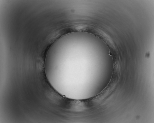 X0000102770421200808251057