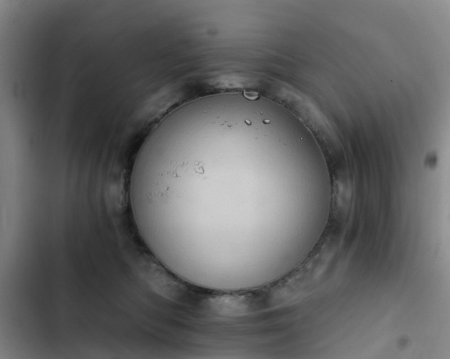 X0000102770422200808251057