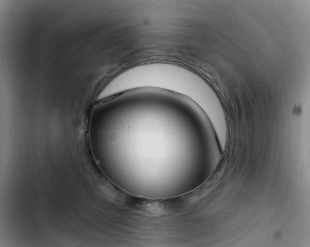 X0000102770423200808251057