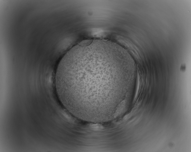 X0000102770424200808251057