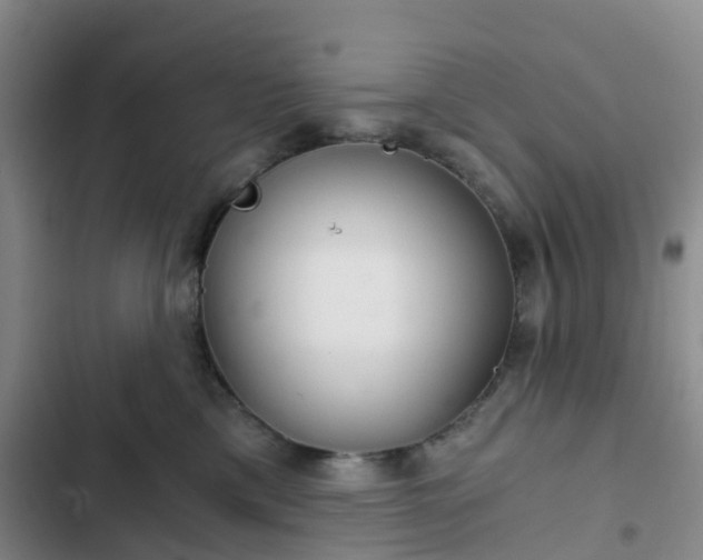 X0000102770425200808251057