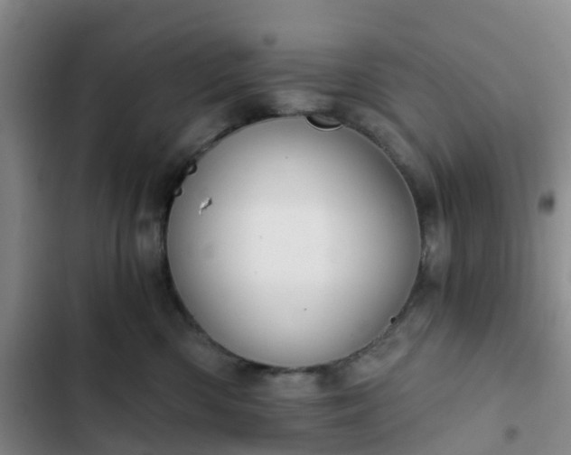 X0000102770426200808251057