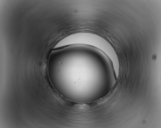 X0000102770427200808251057