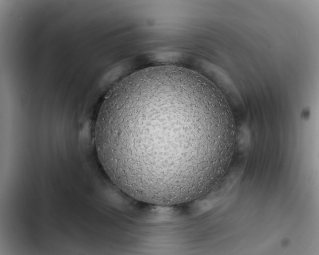 X0000102770428200808251057