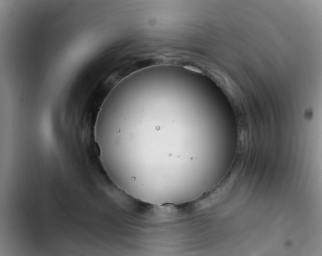 X0000102770429200808251056