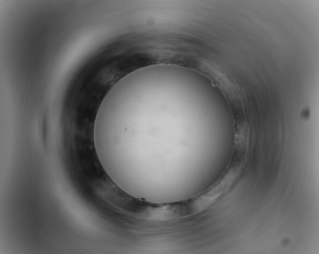 X0000102770430200808251056