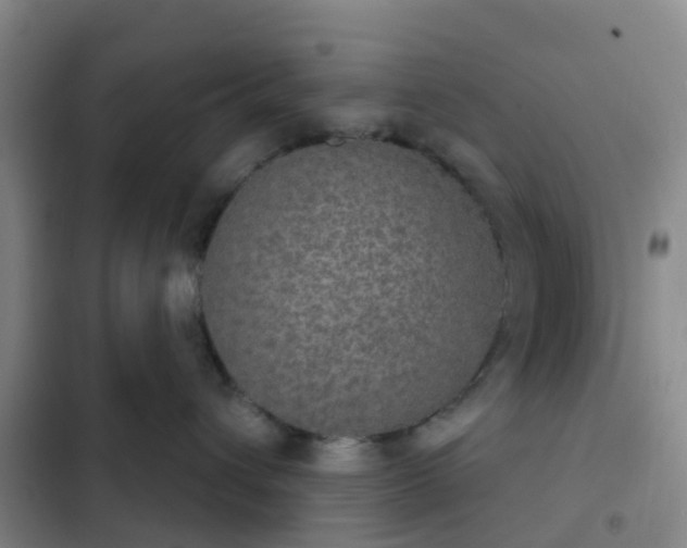 X0000102770432200808251056