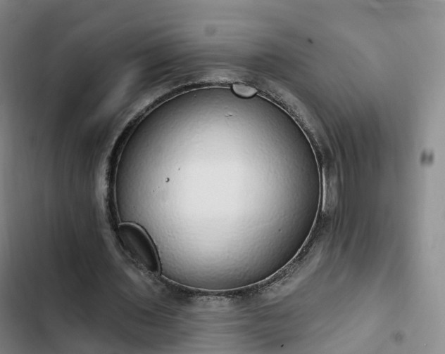 X0000102770435200808251056