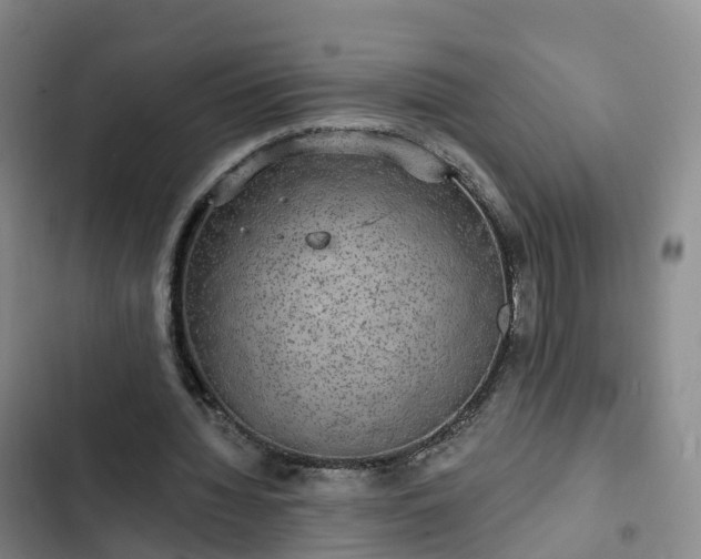 X0000102770436200808251056