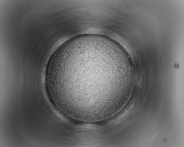 X0000102770437200808251056