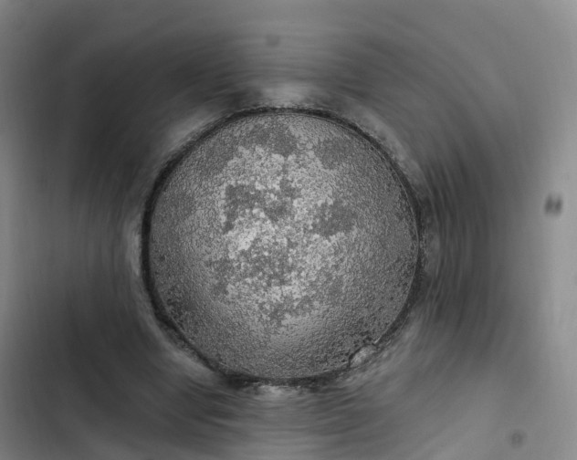 X0000102770442200808251056