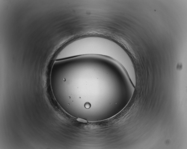 X0000102770444200808251056