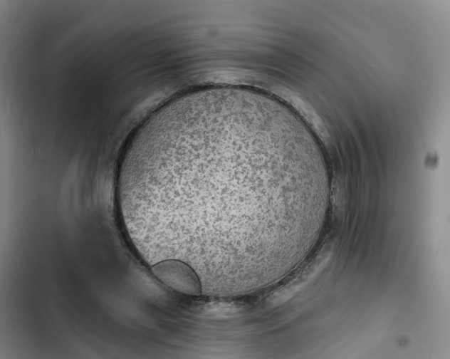 X0000102770445200808251056