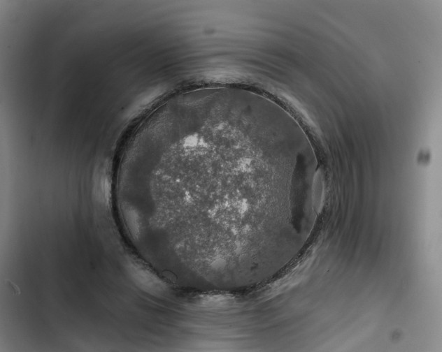 X0000102770446200808251056