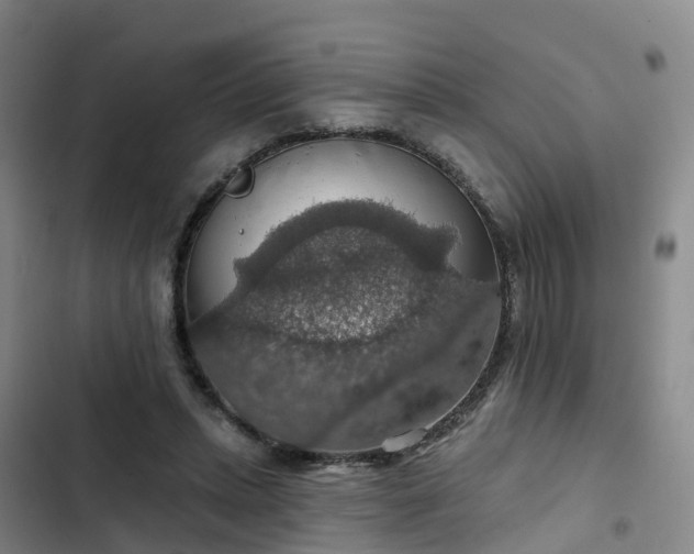 X0000102770447200808251056