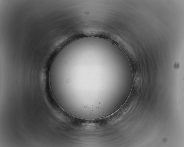 X0000102770448200808251056