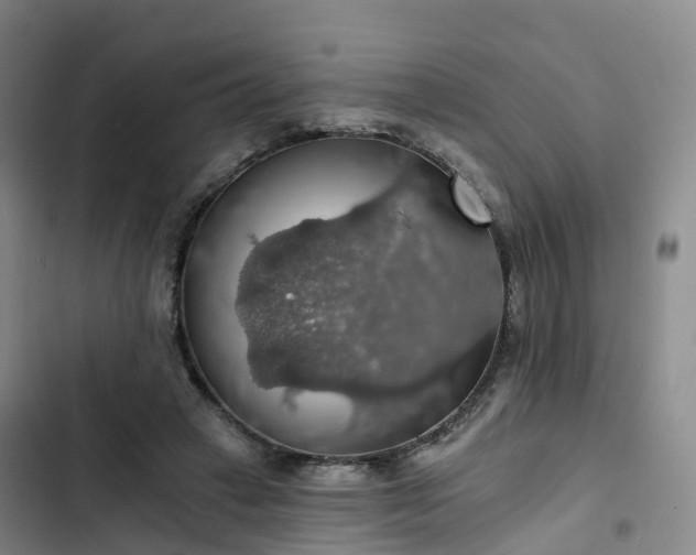 X0000102770449200808251056