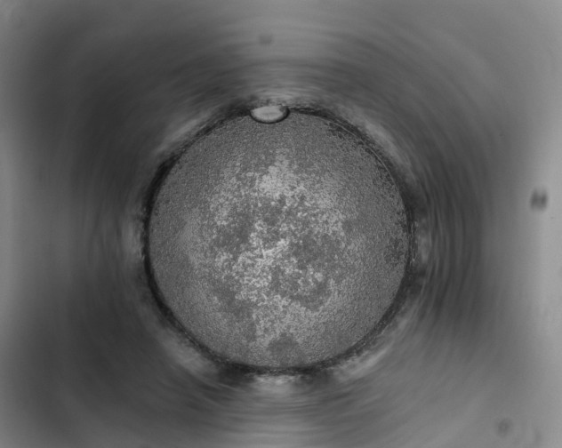 X0000102770450200808251056