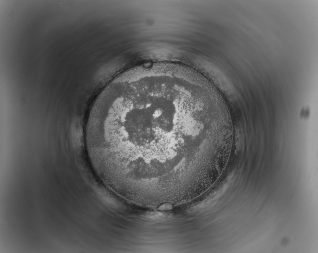 X0000102770453200808251056