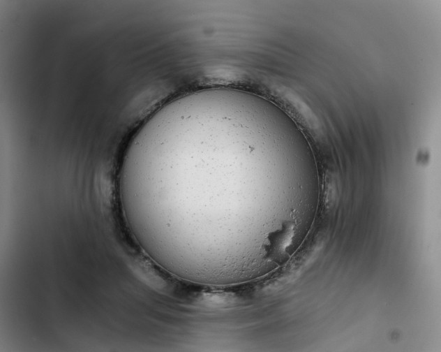 X0000102770455200808251056