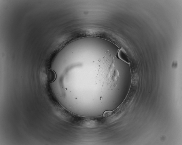 X0000102770456200808251056