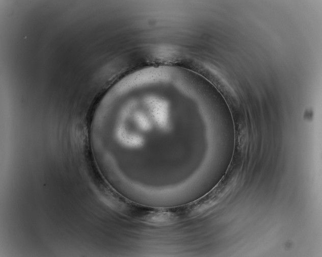 X0000102770459200808251056