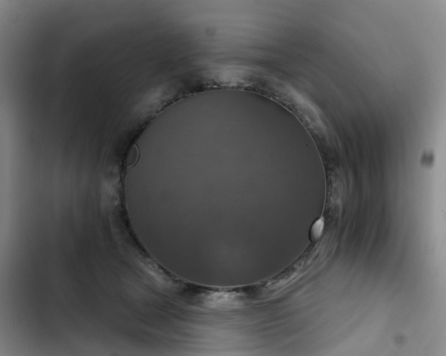 X0000102770465200808251056