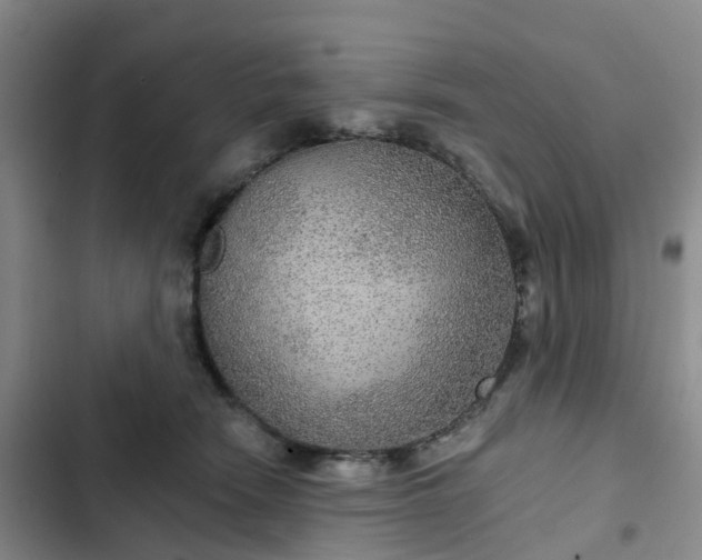 X0000102770466200808251056