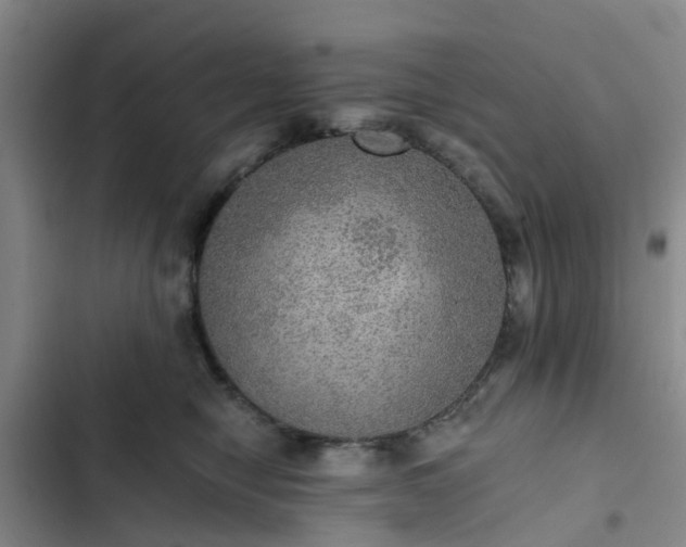 X0000102770470200808251056