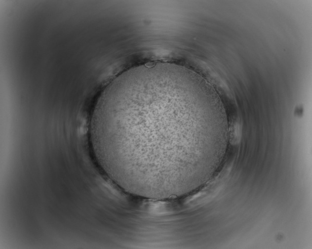 X0000102770472200808251056