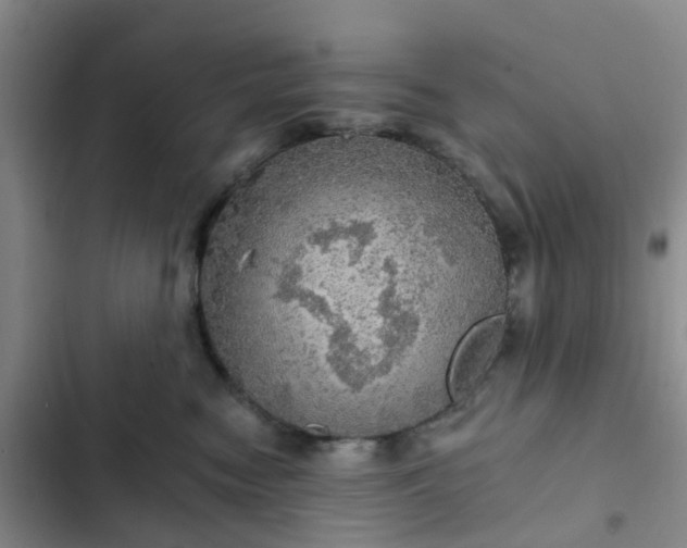 X0000102770474200808251056