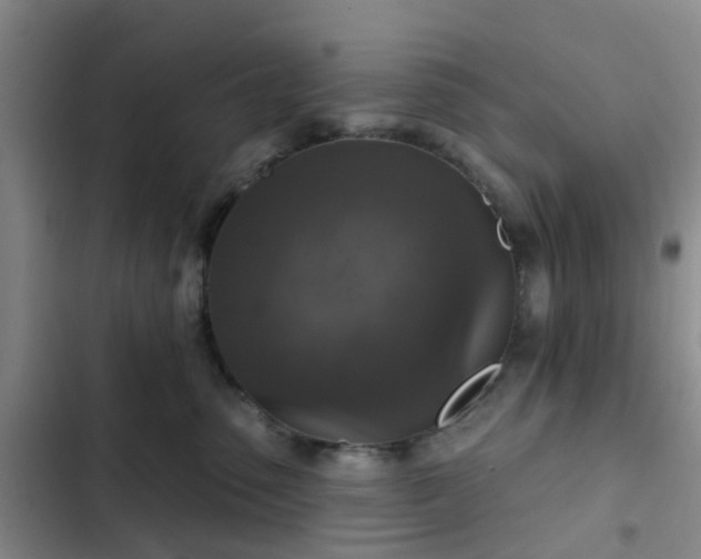 X0000102770475200808251056