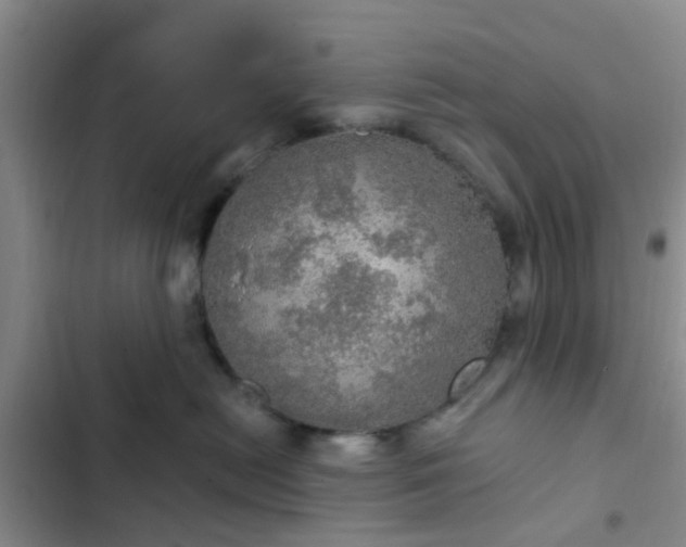 X0000102770478200808251056