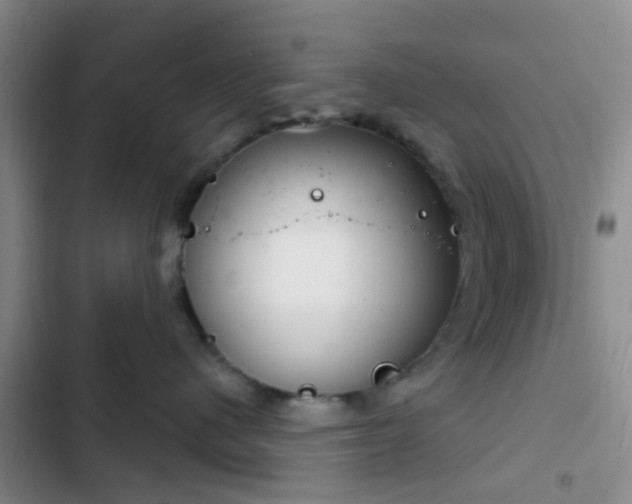 X0000102770480200808251056